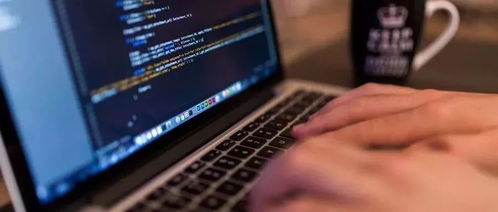 軟件工程與學(xué)前教育的交叉 計(jì)算機(jī)軟件技術(shù)開發(fā)在早期教育中的應(yīng)用